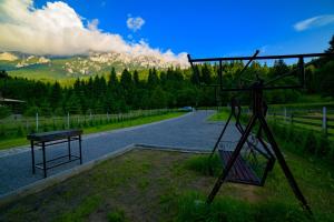 Gold House Plaiul Foii