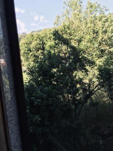 Versilia Garden Rooms