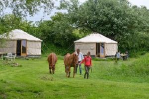 B&B / Chambres d'hotes Double room on farm (La ferme du Tao) : photos des chambres