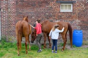 B&B / Chambres d'hotes Double room on farm (La ferme du Tao) : photos des chambres