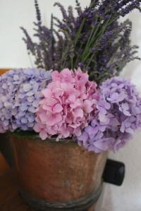 Suite La Meisoun dou Picapera San Giorio Italia