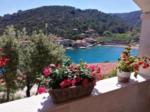 Appartementhaus Elena