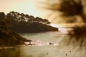 Hotels Les Terrasses du Bailli : photos des chambres