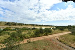 Bona Ngwenya Lodge & Safaris