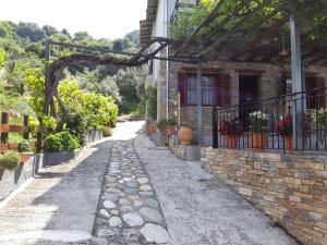 Ammos papanero Pelion Greece