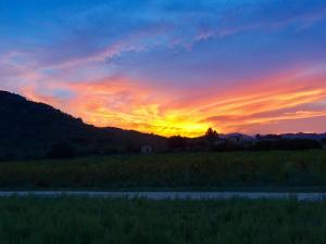 I Carrubi img27