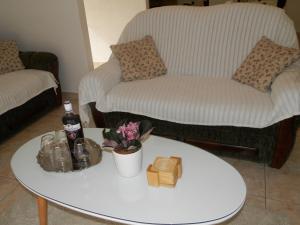 Apartment Slavica