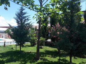 Shaloshvilis Cellar Hotel