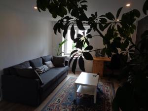 Appartements Appartement independant LE PANASSA, Centre ville, Garage prive : photos des chambres