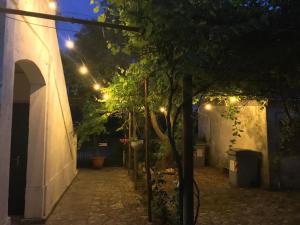 Il Paradiso dei nidi