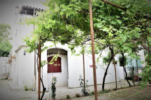 Il Paradiso dei nidi