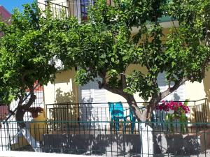 Niovi Apartments Corfu Greece