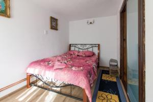 Casa de vacanta Mirela