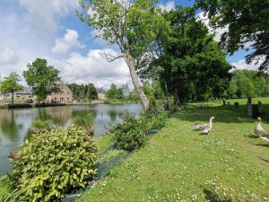 Maisons de vacances Claquerel : photos des chambres