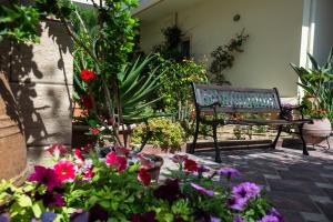 Anastellar Chania Greece