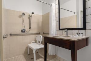 Queen Room with Roll-in Shower - Non-Smoking room in Country Inn & Suites by Radisson Big Flats (Elmira) NY