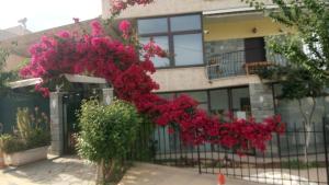 Villa George - Family Holidays