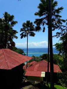 Happy Gecko Dive Resort