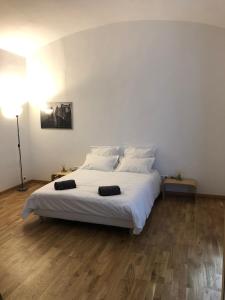 Appartements Boulevard GRAZIANI : photos des chambres