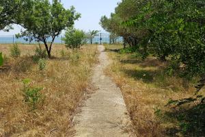 Beachfront hidden gem!!! Kavala Greece