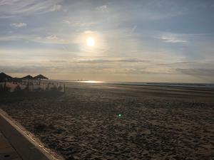 Appartements Une viree a Dunkerque entre ville et plage : photos des chambres