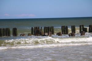 Lux Apartamenty - Rybitwa