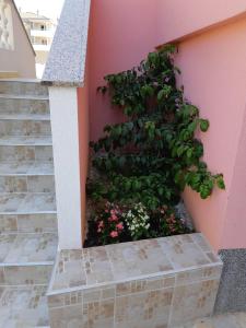 Apartman Orange