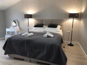 VIP Augustów