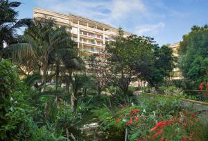 Appart'hotels Residence Pierre & Vacances Les Rivages Du Parc : photos des chambres
