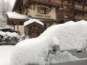 Appartements Alpine Lodge 1 : photos des chambres