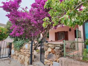 Casa vacanze San Teodoro img4