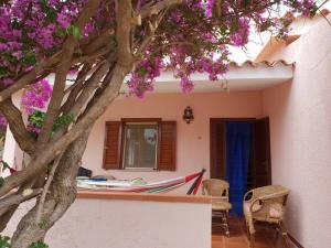 Casa vacanze San Teodoro img3