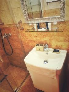 Single Room room in Penzion Fontis Terrae