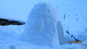 Appartements Alpine Lodge 5 : photos des chambres