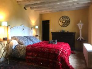 Flamingo-Rooms photo 6