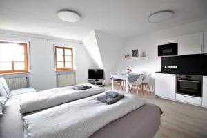 City Apartment - Old Main Bridge, own garage parking space