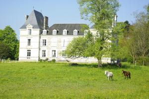 Maisons d'hotes Le Rossay : photos des chambres