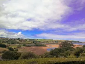 Apartamentos Carmen de Castro - Los Llaós