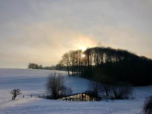 4-Zimmer Apartment auf Resthof