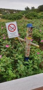 Jugendherberge Westerland