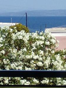 Golden Beach Hotel Aegina Greece