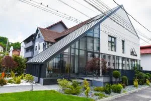 Hotel Subcarpati - 阿尔杰什河畔库尔泰亚