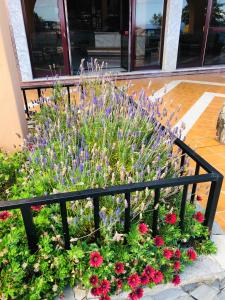 Apartamento Ocean View