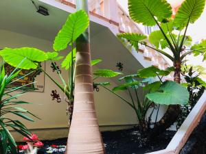 Apartamento Ocean View