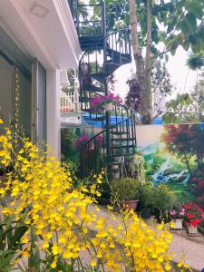 Thu Linh Guesthouse