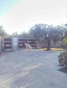 Single Room with Private Bathroom