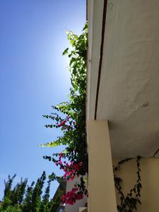 Anesis Village Studios and Apartments Lefkada Greece