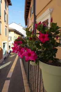 Le Finestre sul Borgo Rooms