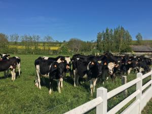 Maisons d'hotes B&B de Saint Come de Fresne : photos des chambres