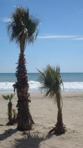 Appartement Salou LOCARMAR - Toni Brusseles